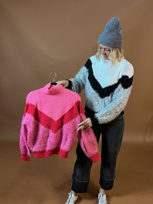 Chickadee Color Block Sweater