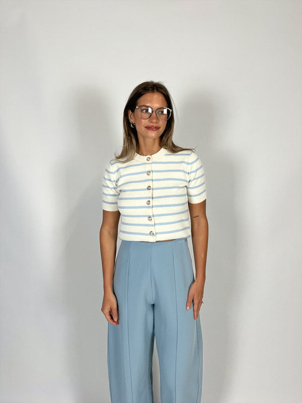 Icey Stripe Knit Top