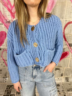 Blue Gold Button Cardigan